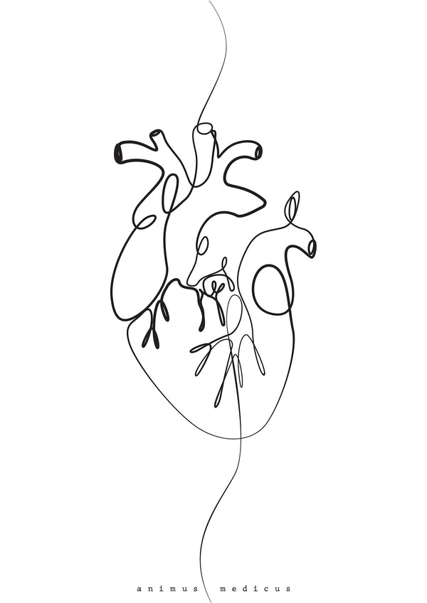 Heart Anatomy Minimalist