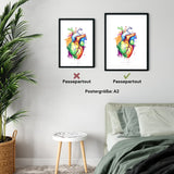 Heart Anatomy - Rainbow