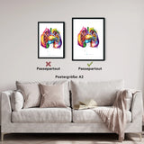 Lungs Anatomy - Rainbow