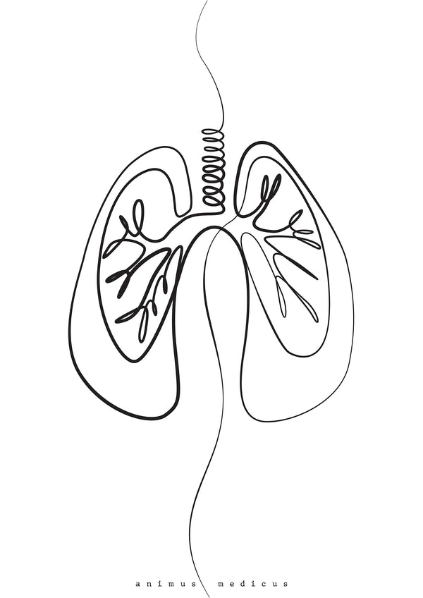 Lung Anatomy Minimalist