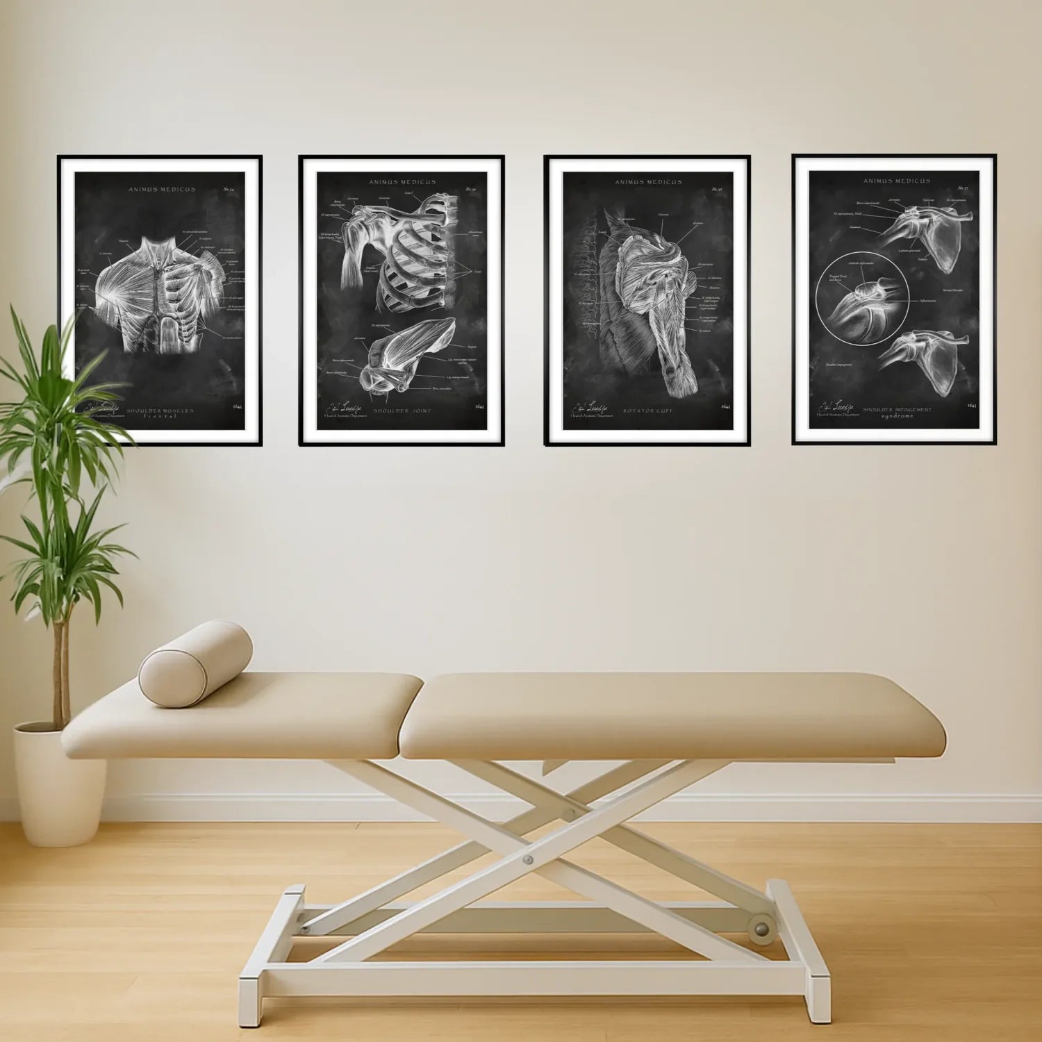 Shoulder Anatomy Collection Chalkboard