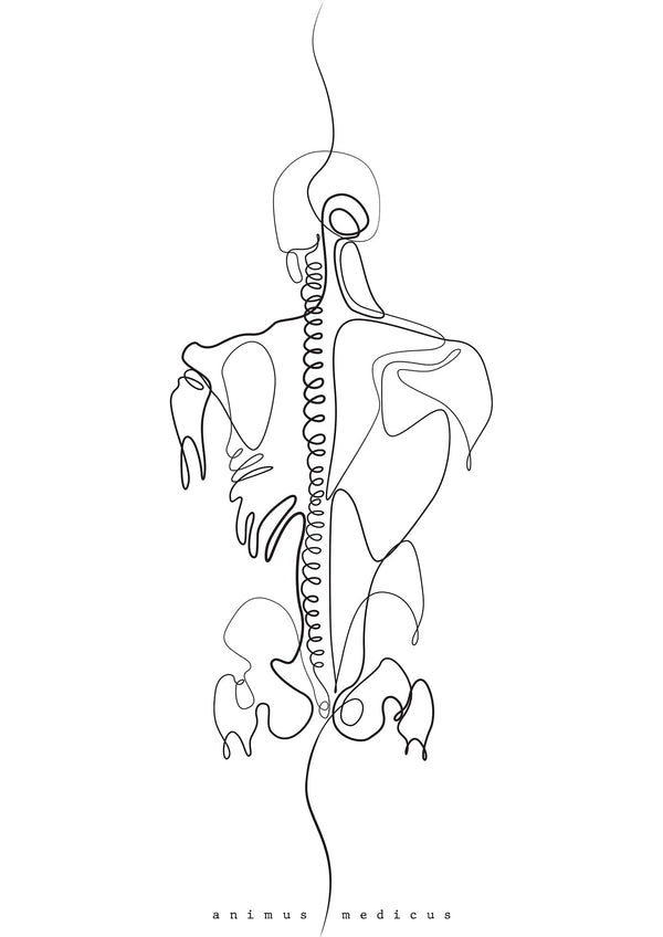Back Anatomy Minimalist