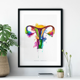 Uterus Anatomy - Rainbow