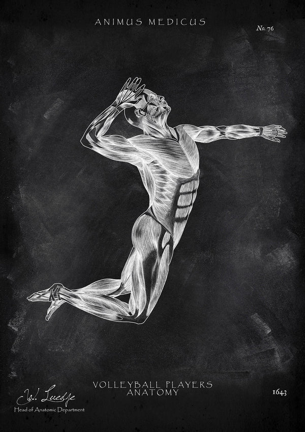 Volleyball Anatomy Poster - Chalkboard