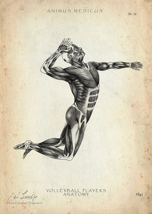 Volleyball Anatomy Poster