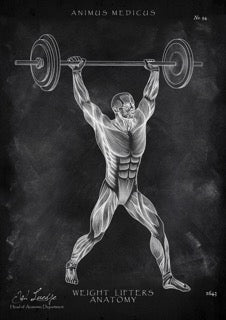 Weightlifting Anatomy Poster – Chalkboard