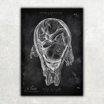 Baby in Gebärmutter - Chalkboard - Animus Medicus GmbH