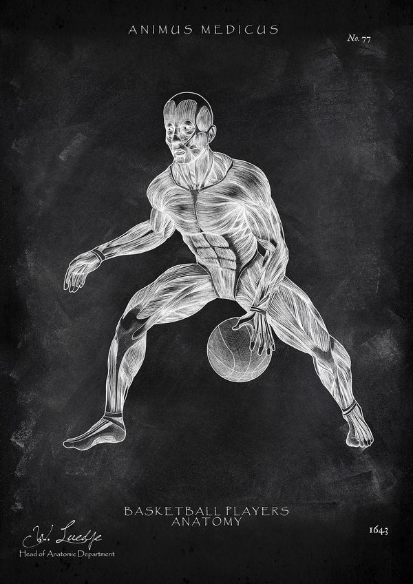 Basketball Anatomy Poster - Chalkboard