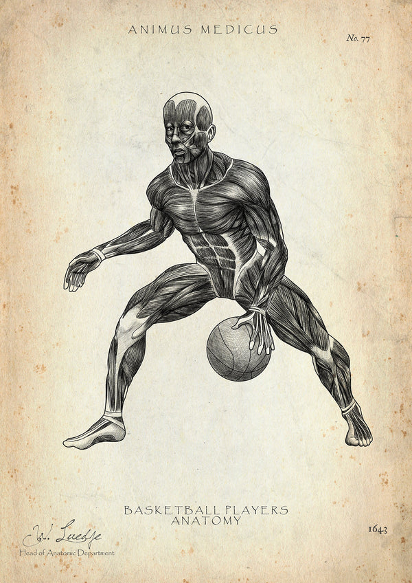 Basketball Anatomy Poster