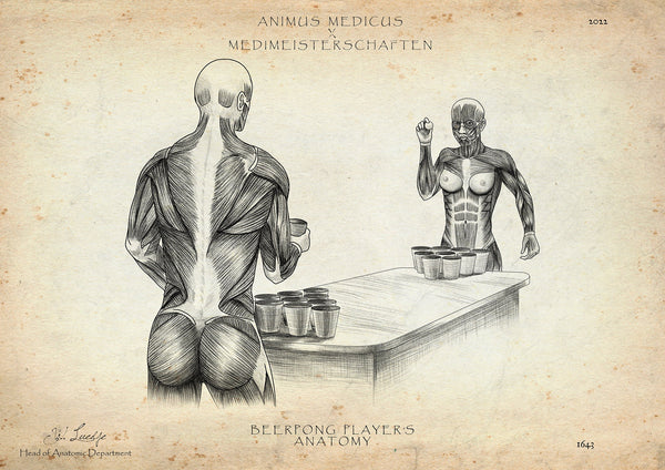 Beer Pong Anatomy