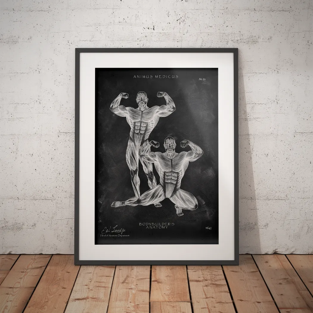 Bodybuilder Anatomy Poster - Chalkboard