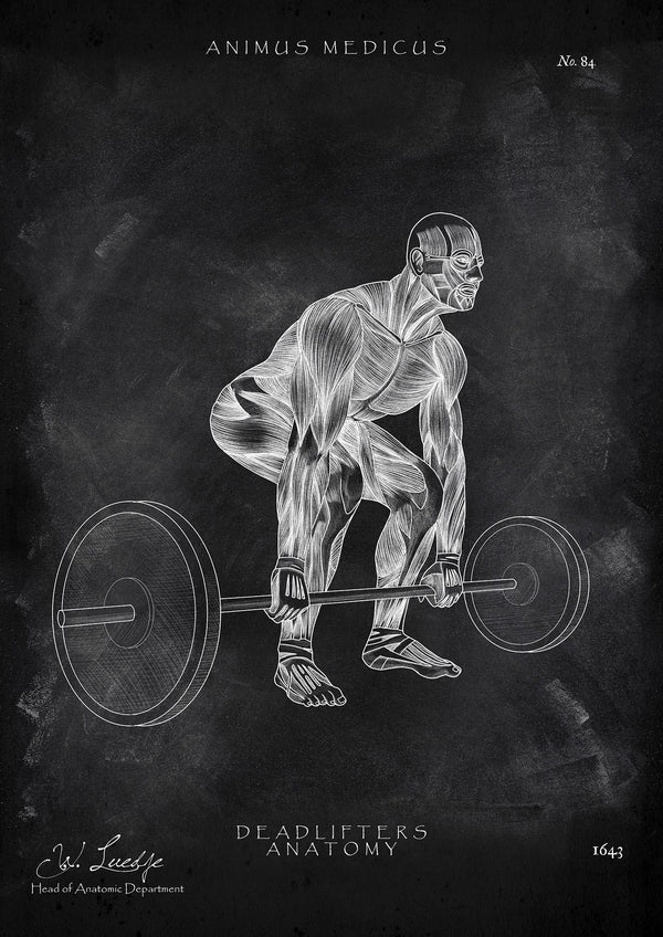 Deadlift Anatomy Poster - Chalkboard