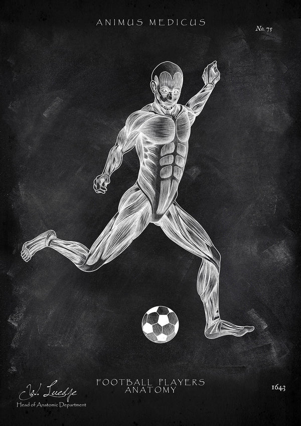 Soccer Anatomy Poster - Chalkboard