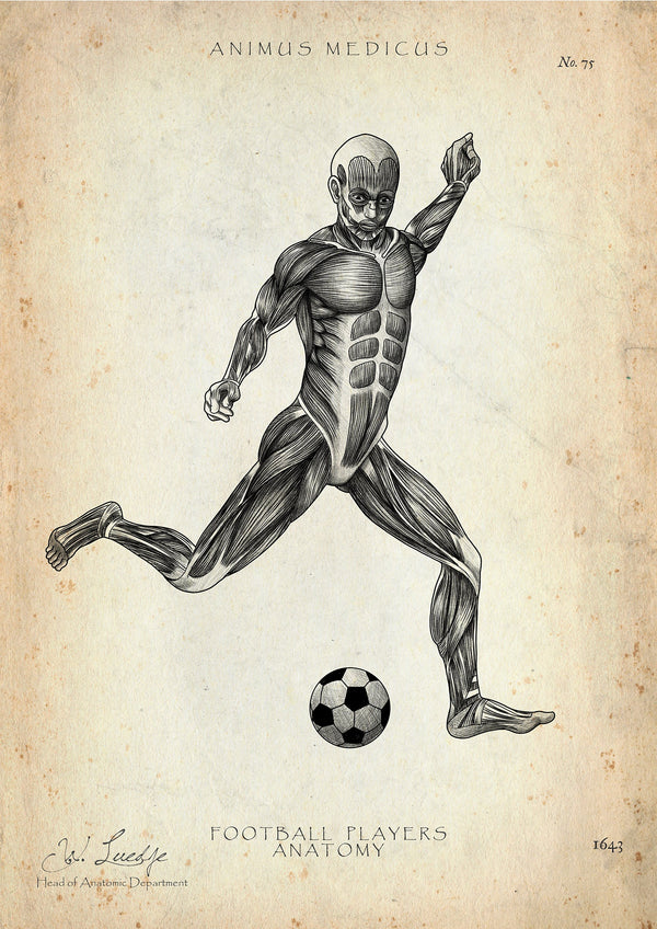 Soccer Anatomy Poster