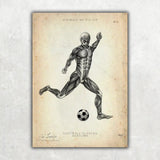 Fußball Anatomie Poster - Animus Medicus GmbH