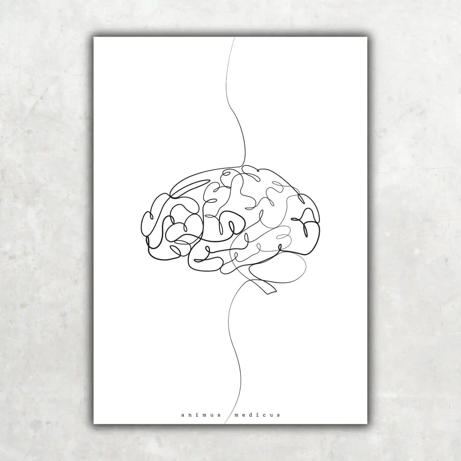 Gehirn Anatomie Minimalist - Animus Medicus GmbH