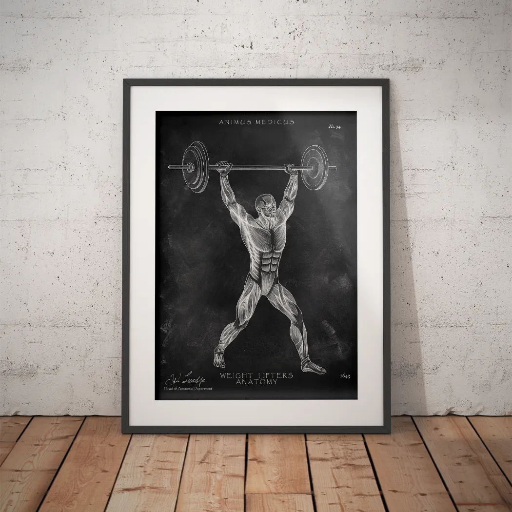 Weightlifting Anatomy Poster – Chalkboard