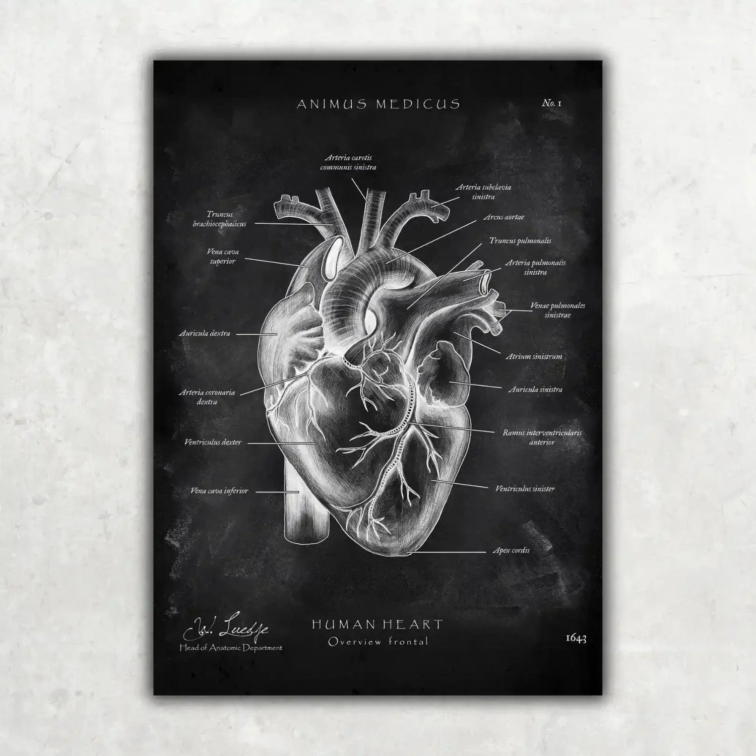 Top 5 Bestsellers Pack - Chalkboard