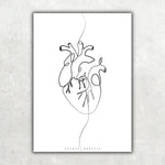 Herz Anatomie Minimalist - Animus Medicus GmbH