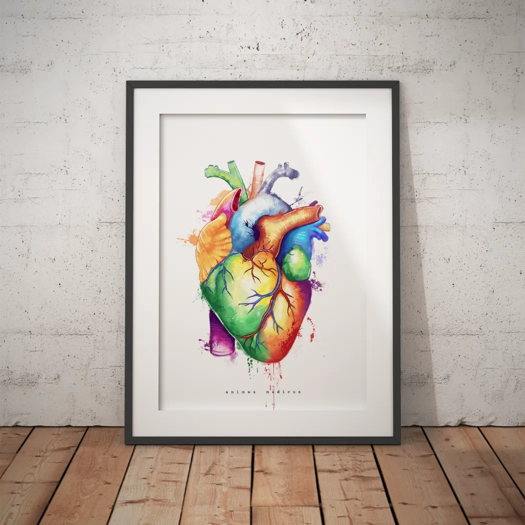 Heart Anatomy - Rainbow