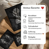 Innenohr Anatomie - Animus Medicus GmbH