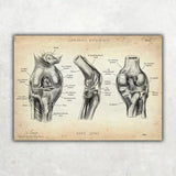 Physio Starter Set