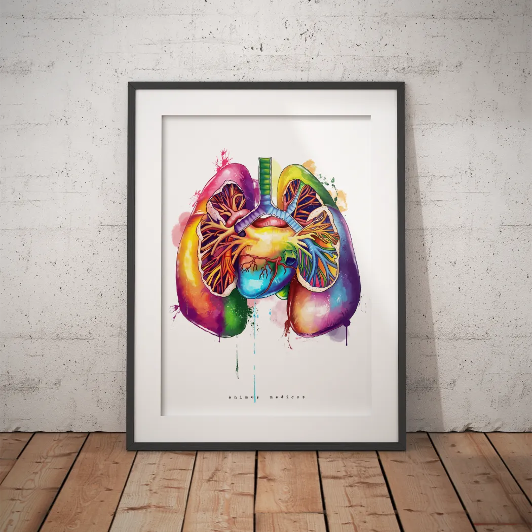 Lung Anatomy - Rainbow