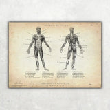 Physio Starter Set
