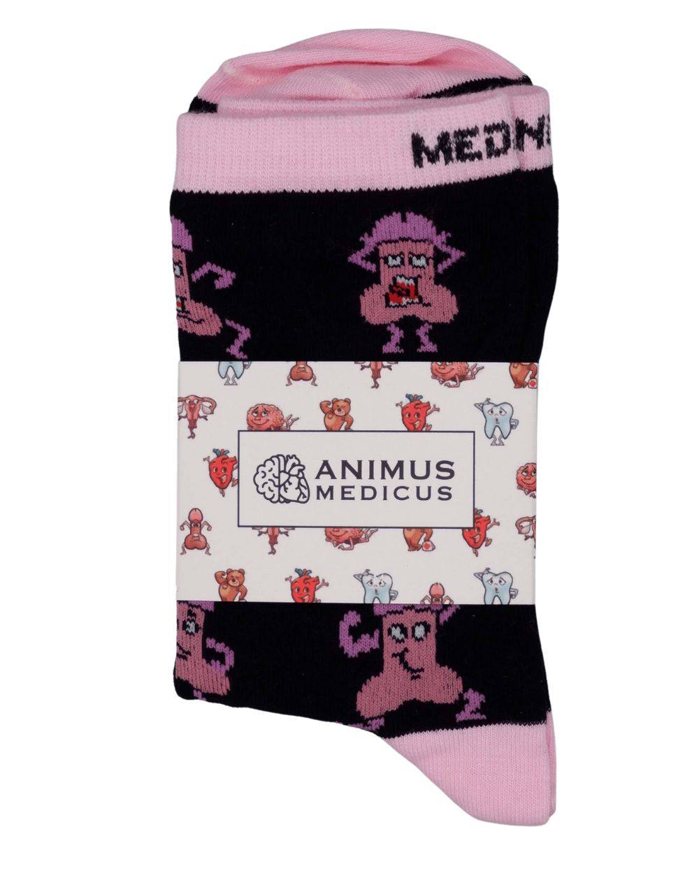 Penis Anatomie Socken aus Bio-Baumwolle - Animus Medicus GmbH
