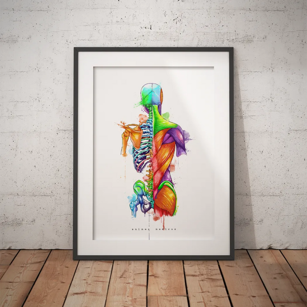 Back anatomy poster in rainbow watercolor style, framed