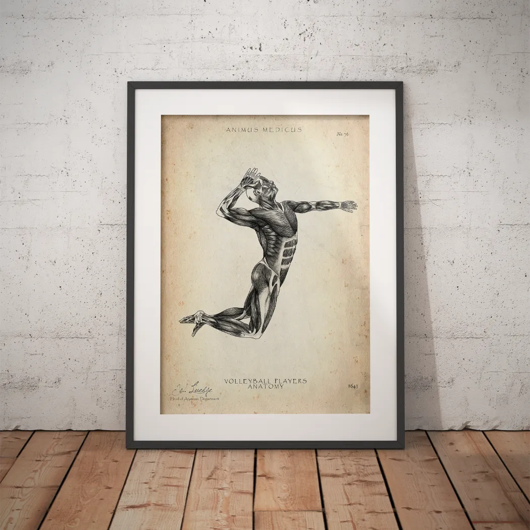 Volleyball Anatomy Poster